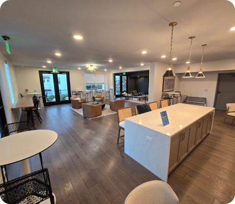 Regularização nos EUA